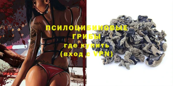 твердый Покачи
