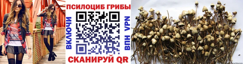 omg ТОР  наркотики  Солигалич  Галлюциногенные грибы мухоморы 